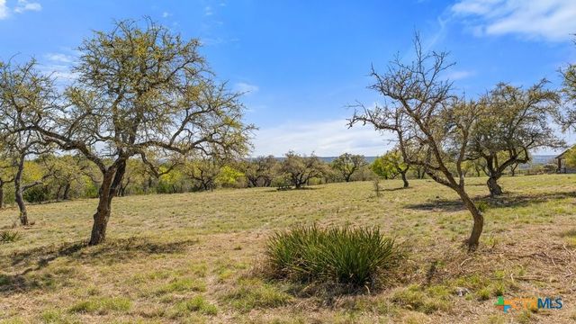 Lot 19 Stone Ridge Mountain Drive, Round Mountain, TX 78663