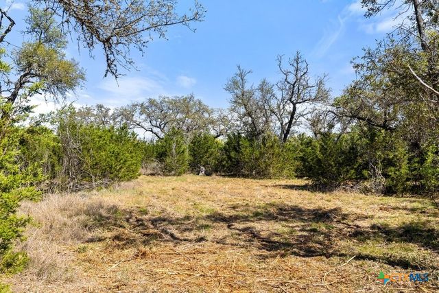 Lot 19 Stone Ridge Mountain Drive, Round Mountain, TX 78663