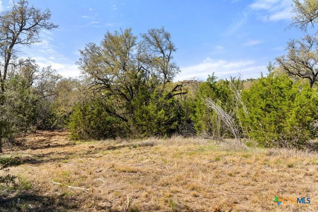 Lot 19 Stone Ridge Mountain Drive, Round Mountain, TX 78663
