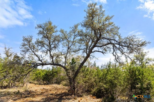 Lot 19 Stone Ridge Mountain Drive, Round Mountain, TX 78663
