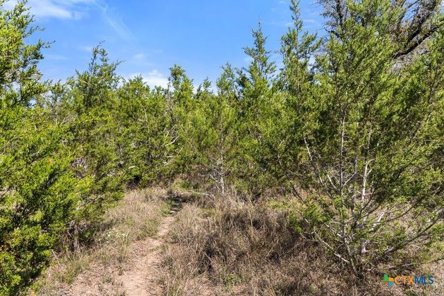 Lot 19 Stone Ridge Mountain Drive, Round Mountain, TX 78663
