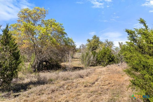 Lot 19 Stone Ridge Mountain Drive, Round Mountain, TX 78663
