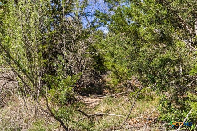 Lot 19 Stone Ridge Mountain Drive, Round Mountain, TX 78663
