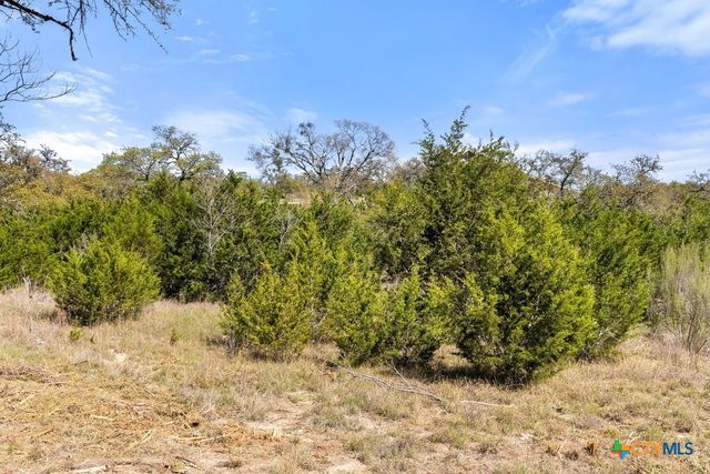 Lot 19 Stone Ridge Mountain Drive, Round Mountain, TX 78663