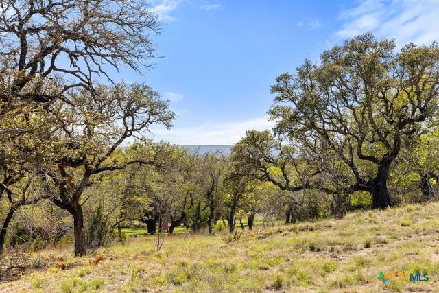 Lot 19 Stone Ridge Mountain Drive, Round Mountain, TX 78663