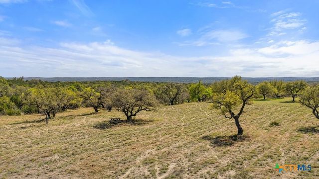 Lot 19 Stone Ridge Mountain Drive, Round Mountain, TX 78663