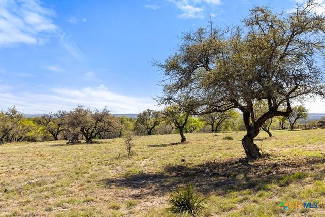 Lot 19 Stone Ridge Mountain Drive, Round Mountain, TX 78663