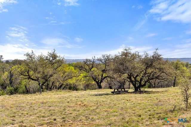 Lot 19 Stone Ridge Mountain Drive, Round Mountain, TX 78663