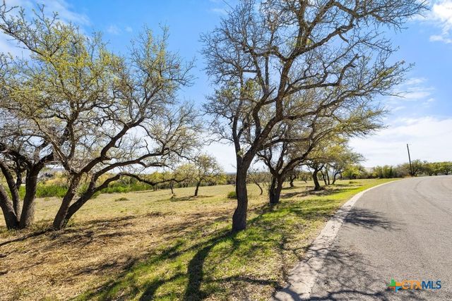 Lot 19 Stone Ridge Mountain Drive, Round Mountain, TX 78663