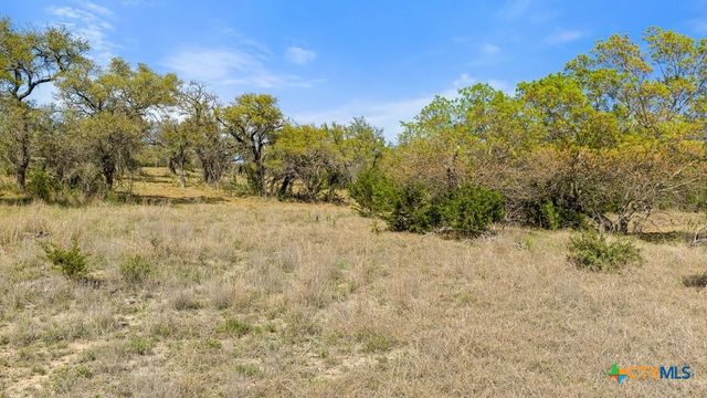 Lot 19 Stone Ridge Mountain Drive, Round Mountain, TX 78663
