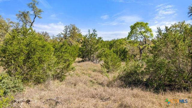 Lot 19 Stone Ridge Mountain Drive, Round Mountain, TX 78663