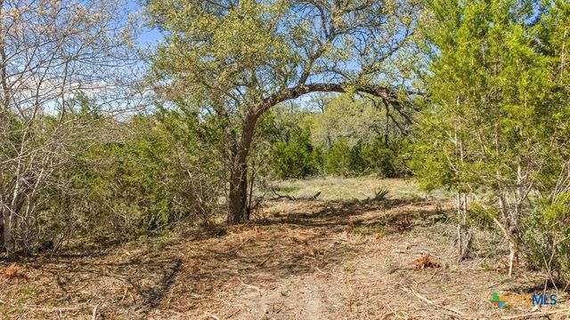 Lot 19 Stone Ridge Mountain Drive, Round Mountain, TX 78663