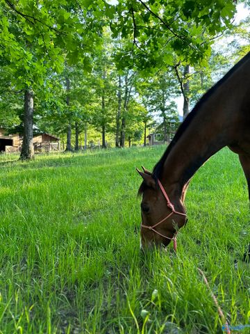 2030 County Road 625, Mentone, AL 35984