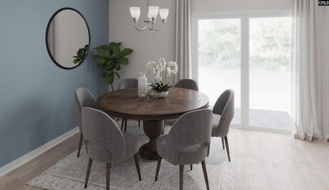 661 Rose Copper Way, Lexington, SC 29073