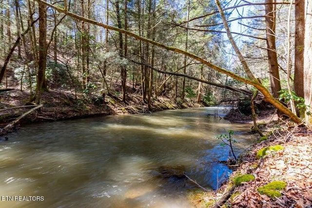 140 Luna Lane, Spring City, TN 37381