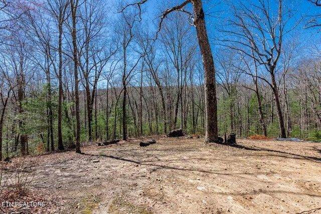 140 Luna Lane, Spring City, TN 37381