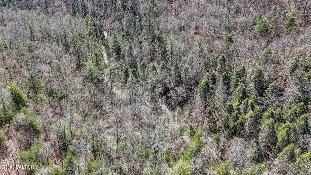 140 Luna Lane, Spring City, TN 37381