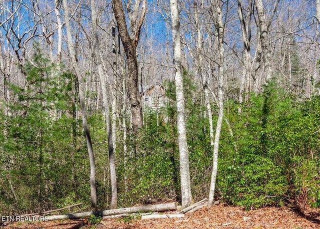 140 Luna Lane, Spring City, TN 37381