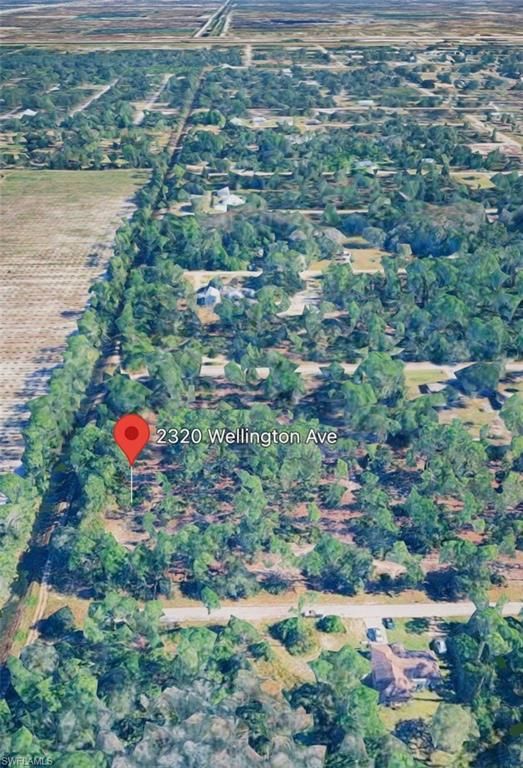 2320 Wellington AVE, ALVA, FL 33920 — photo 2