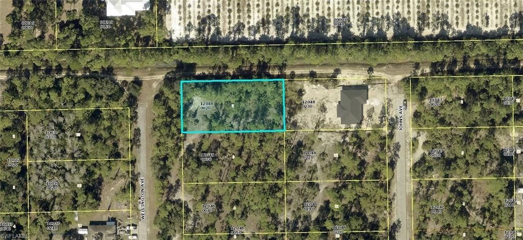 2320 Wellington AVE, ALVA, FL 33920 — photo 4