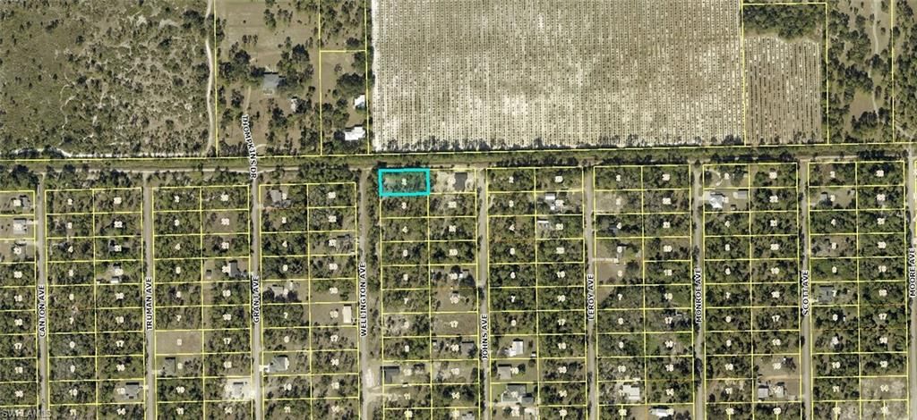 2320 Wellington AVE, ALVA, FL 33920 — photo 5