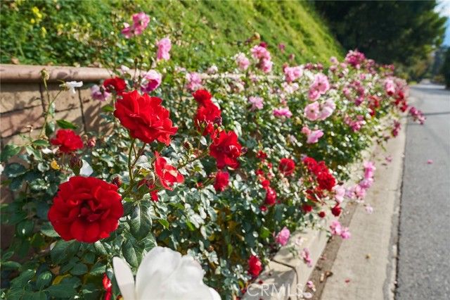 1752 Thurber Place, Burbank, CA 91501