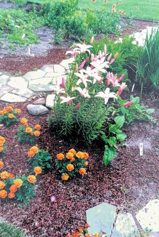 1626 Melvina Lane SW, Alexandria, MN 56308