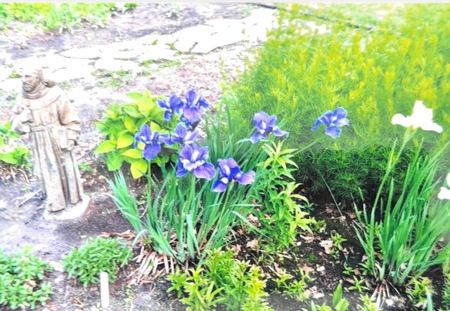 1626 Melvina Lane SW, Alexandria, MN 56308