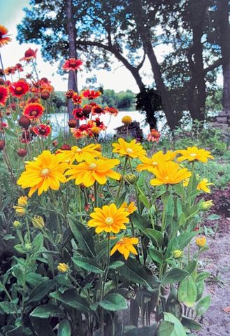 1626 Melvina Lane SW, Alexandria, MN 56308