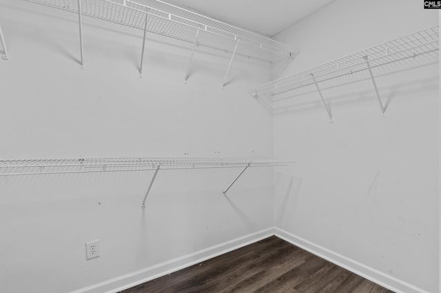 259 Woodwinds Drive, Columbia, SC 29212