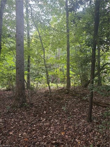 Lot 1 Edgewood Road, Wilkesboro, NC 28697