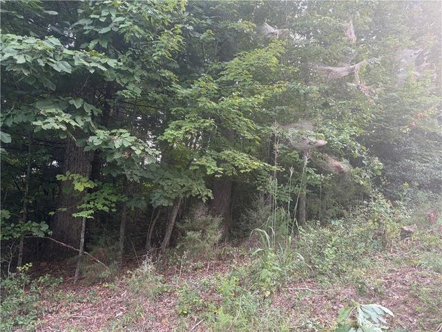Lot 1 Edgewood Road, Wilkesboro, NC 28697