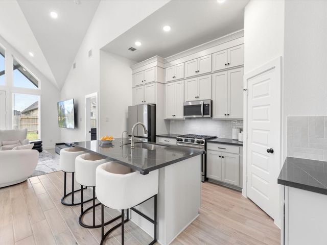 481 Harvest Moon Drive, Katy, TX 77493