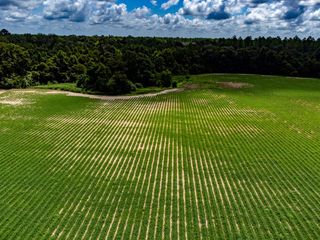 01 State Line Road, Cottonwood, AL 36320