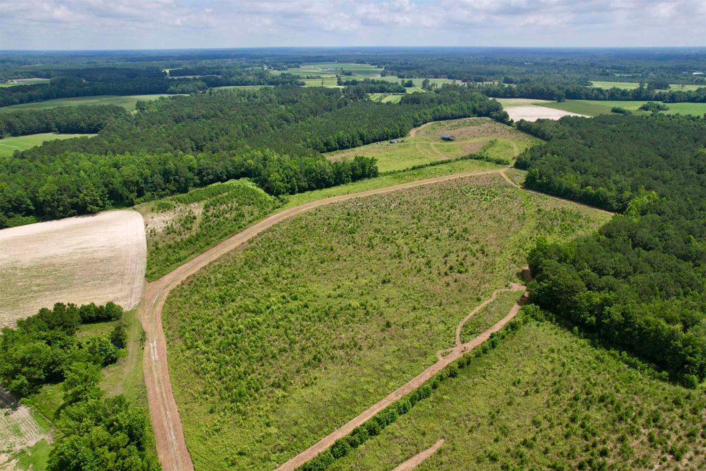 0 Powell Rd., Green Sea, SC 29545 — photo 2