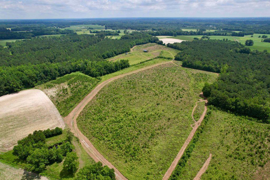 0 Powell Rd., Green Sea, SC 29545 — photo 3