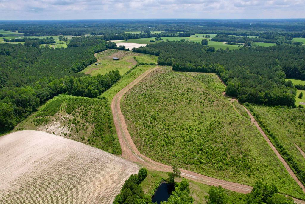 0 Powell Rd., Green Sea, SC 29545 — photo 5