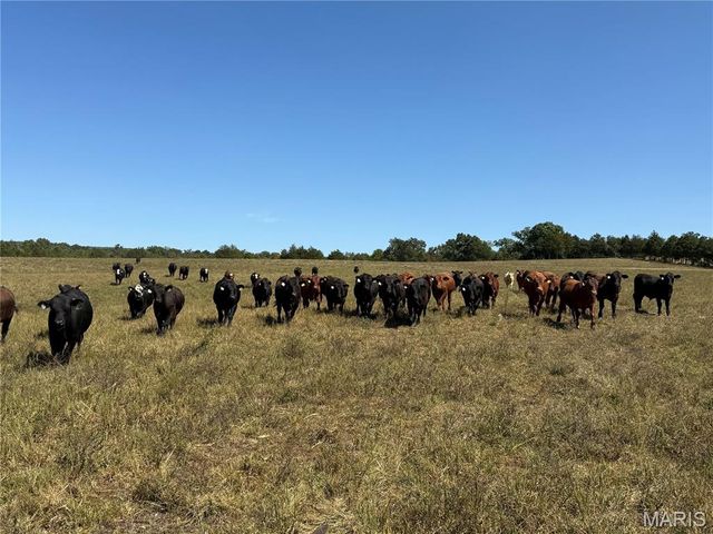 1030 Madison 9568, Fredericktown, MO 63645