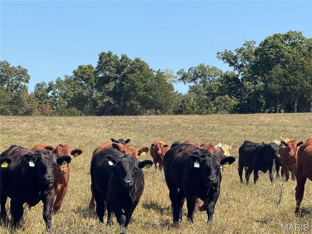 1030 Madison 9568, Fredericktown, MO 63645