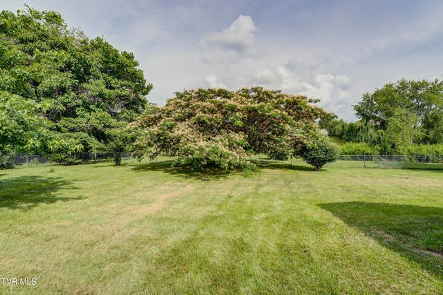 2146 Buttercup Lane, Limestone, TN 37681