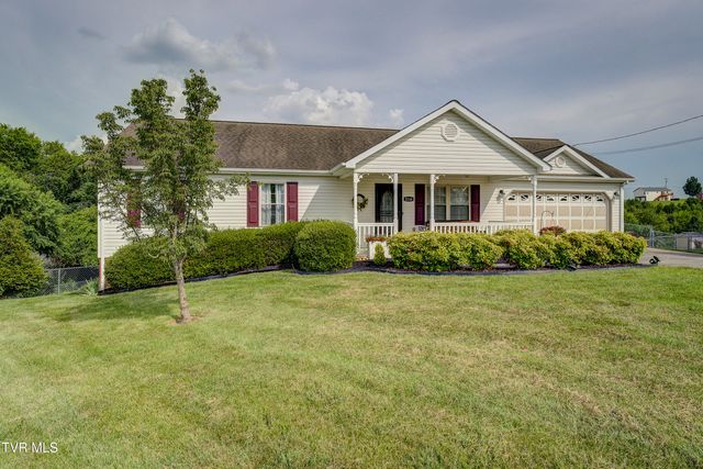2146 Buttercup Lane, Limestone, TN 37681
