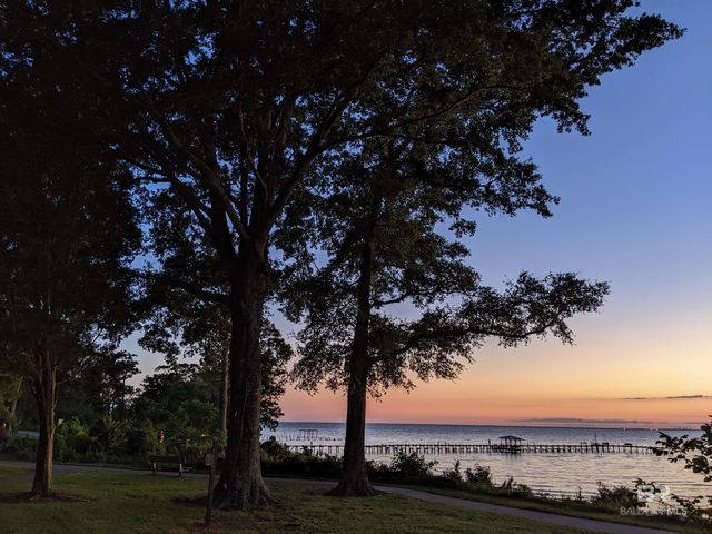 16817 Tigris Drive, Fairhope, AL 36526