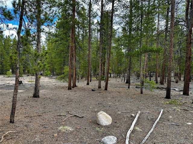 644 Birch Drive, Twin Lakes, CO 80461