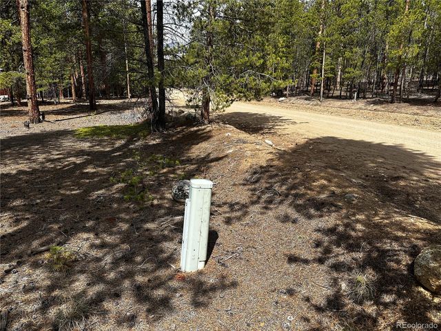 644 Birch Drive, Twin Lakes, CO 80461
