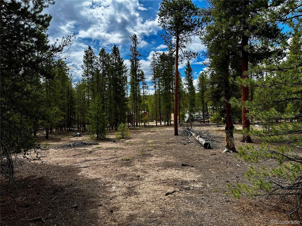 644 Birch Drive, Twin Lakes, CO 80461