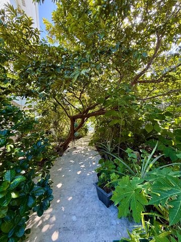 125 Colson Drive, Cudjoe Key, FL 33042