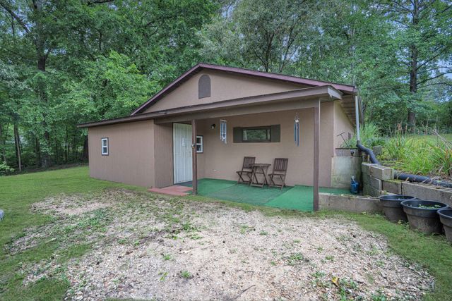 44 Antioch Cove Rd, Springville, TN 38256