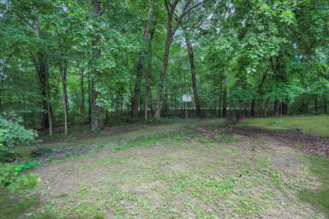 44 Antioch Cove Rd, Springville, TN 38256