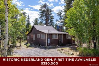 550 W Breed Street, Nederland, CO 80466