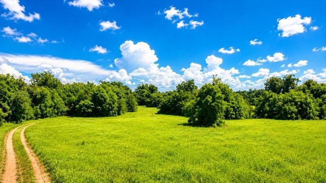 0 Pryor Road, Brookshire, TX 77423